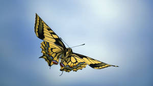 Preview Wallpaper Sky, Butterfly, Wings Wallpaper