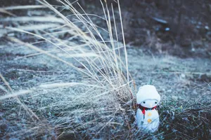 Preview Wallpaper Snowman, Christmas, New Year, Toy, Grass, Blur Wallpaper