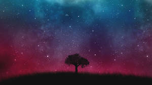 Preview Wallpaper Starry Sky, Night, Tree Wallpaper