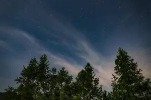 Preview Wallpaper Starry Sky, Trees, Sky Wallpaper