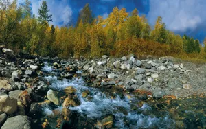 Preview Wallpaper Stones, Summer, River Wallpaper