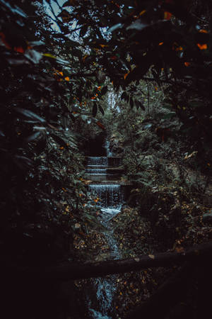 Preview Wallpaper Stream, Waterfall, Jungle, Trees, Bushes Wallpaper