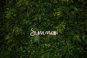Preview Wallpaper Summer, Vegetation, Inscription, Plants, Greenery Wallpaper