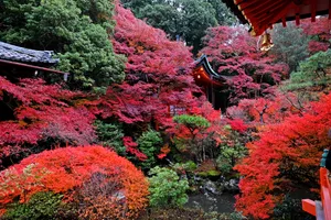 Preview Wallpaper Temple, Autumn, Japan, Kyoto Wallpaper