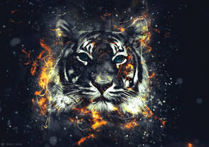 Preview Wallpaper Tiger, Sparks, Art, Flash Wallpaper