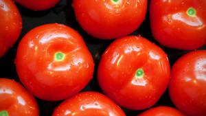 Preview Wallpaper Tomatoes, Food, Vegetables Wallpaper