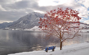 Preview Wallpaper Tree, Bench, Leaves, Autumn, October, Freezing, Mountain, Lake Wallpaper