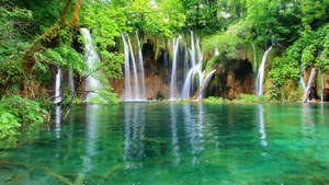 Preview Wallpaper Water, Falls, Jungle, Wood Wallpaper