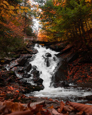 Preview Wallpaper Waterfall, Bridge, Autumn Wallpaper