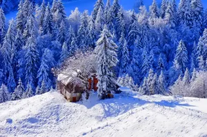 Preview Wallpaper Winter, House, Hill, Snow, Trees Wallpaper