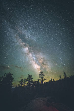 Preview Wallpaper Yosemite Valley, Starry Sky, Milky Way, Stars, Night, Trees, United States Wallpaper