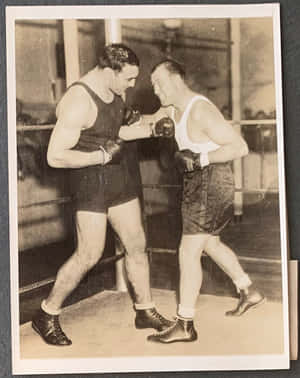 Primo Carnera Sparring With Jack Sharkey Wallpaper