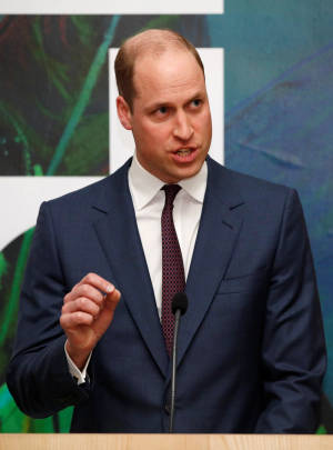 Prince William Addressing An Audience. Wallpaper