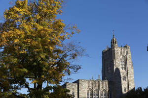 Princeton University Firestone Library Wallpaper