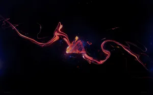 Prism Abstract Wallpaper