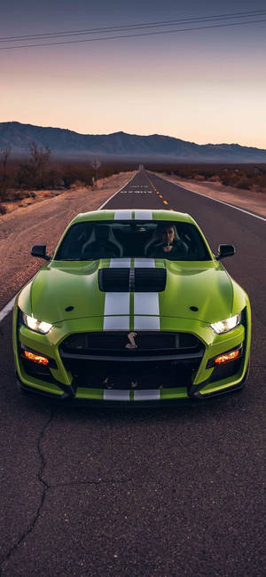 Pristine Ford Shelby - The Emblem Of Automotive Excellence Wallpaper