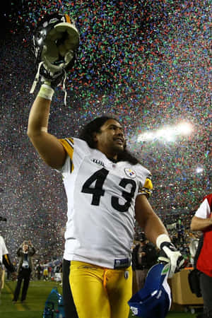 Pro Football Hall Of Fame Safety, Troy Polamalu Wallpaper