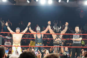 Pro Wrestlers Celebrating Victoryin Ring Wallpaper