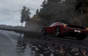 Project Cars 2 Tree Car Wallpaper