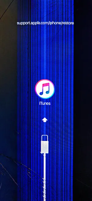 Protect Your Phone Now Wallpaper