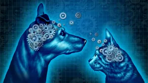 Psychology Dog Cat Mechanical Mind Wallpaper