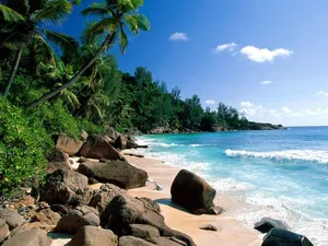 Puerto Rico Beautiful Beach Wallpaper