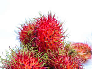 Pulasan Hairy Ripe Fruit Wallpaper
