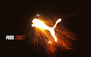 Puma Logo Comet Wallpaper