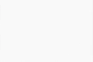 Pure Cool White Wallpaper