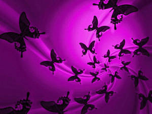 Purple Butterfly Silhouette Wallpaper
