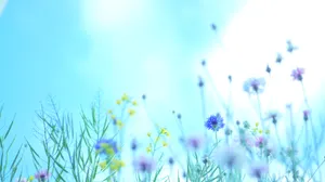 Purple Flowers Under Sunny Sky Wallpaper