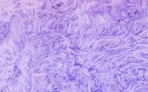 Purple Furry Background With A Close Up View Wallpaper