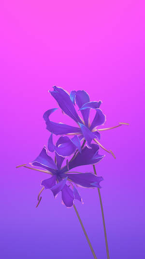 Purple Gorgeous Apple Flower Wallpaper