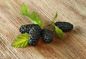 Purple Mulberry Fruit With Leaves Wallpaper