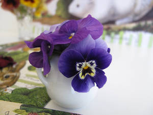Purple Pansy On White Vase Wallpaper