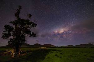 Purple Starry Night 4k Sky Wallpaper