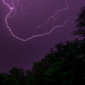 Purple Thunderstorm Over Trees Wallpaper