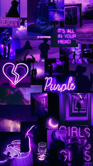 Purple Wallpapers, Purple Wallpapers, Purple Wallpapers, Purple Wallpapers, Purple Wallpapers, Purple Wallpapers, Purple Wallpapers, Purple Wallpapers, Wallpaper