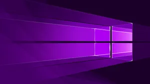 Purple Windows Logo Professional Desktop Wallpaper