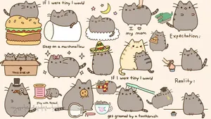 Pusheen The Cat Stickers Show The Fun Side Of The Internet's Favorite Feline Wallpaper