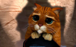 Puss In Boots Pleading Eyes Wallpaper