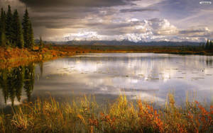 Quiet Lake On A Cloudy Day Wallpaper