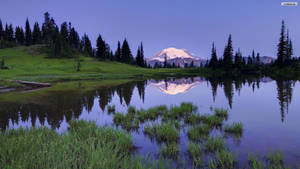 Quiet Lake Surrounded By Mountains And Vegetation Wallpaper