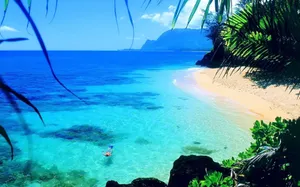 Quiet Tropical Ocean Wallpaper