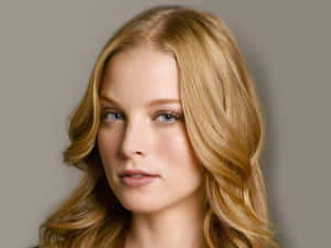 Rachel Nichols In A Captivating Pose. Wallpaper