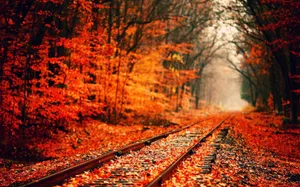 Railroad With Red Leaves Fall Autumn Desktop Wallpaper