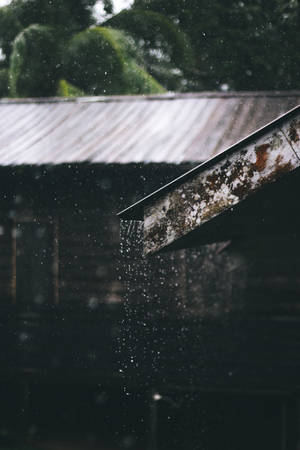 Rain Nature Corrugated Metal Sheet Or Roof Wallpaper