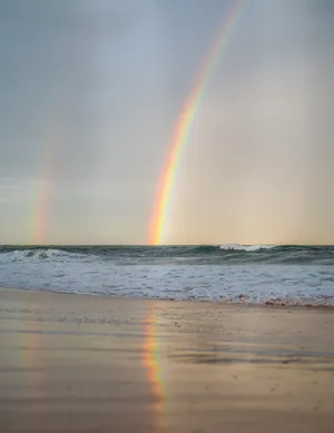 Rainbow Beach Android Wallpaper