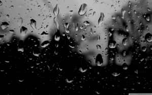 Raindrops On A Window In Black And White Wallpaper