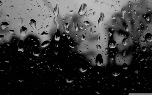 Raindrops On A Window In Black And White Wallpaper